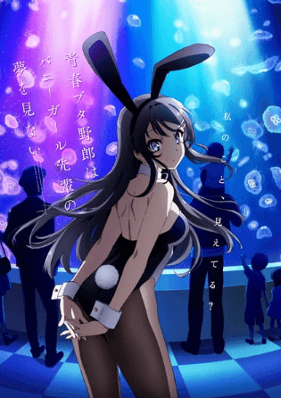 Seishun Buta Yarou wa Bunny Girl Senpai no Yume wo Minai | اوك انمي - Okanime